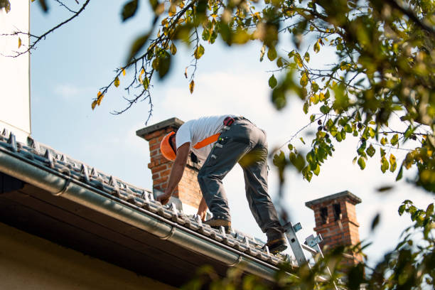 Roof Coating Services in Wrightsville, GA