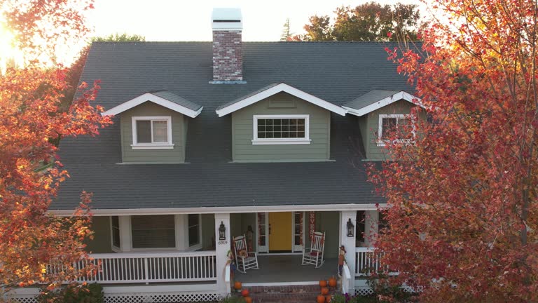 Best Roof Moss and Algae Removal  in Wrightsville, GA