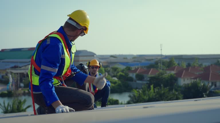 Best Skylight Installation and Repair  in Wrightsville, GA