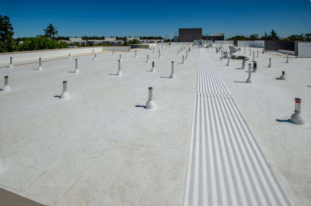 Best Gutter Installation and Repair  in Wrightsville, GA